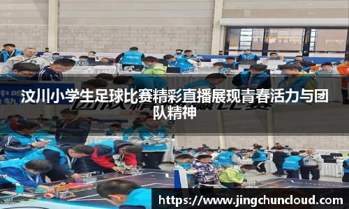 币游AG登录中心